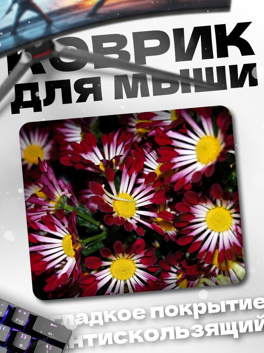 Коврик красные хризантемы букет