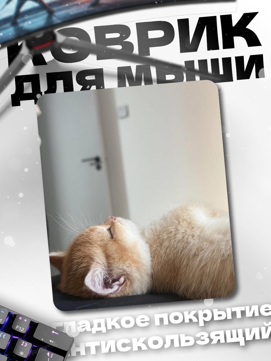 Коврик Спящий кот