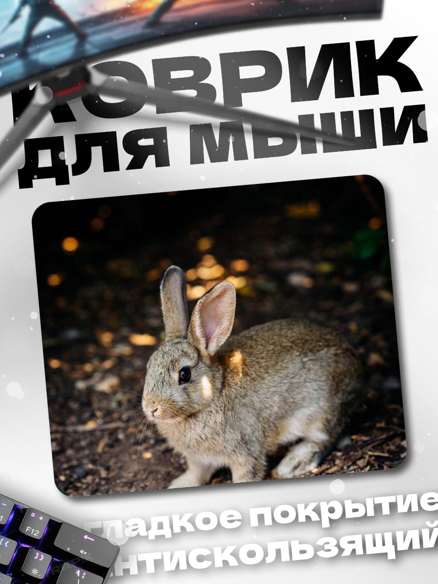 Коврик Заяц на земле