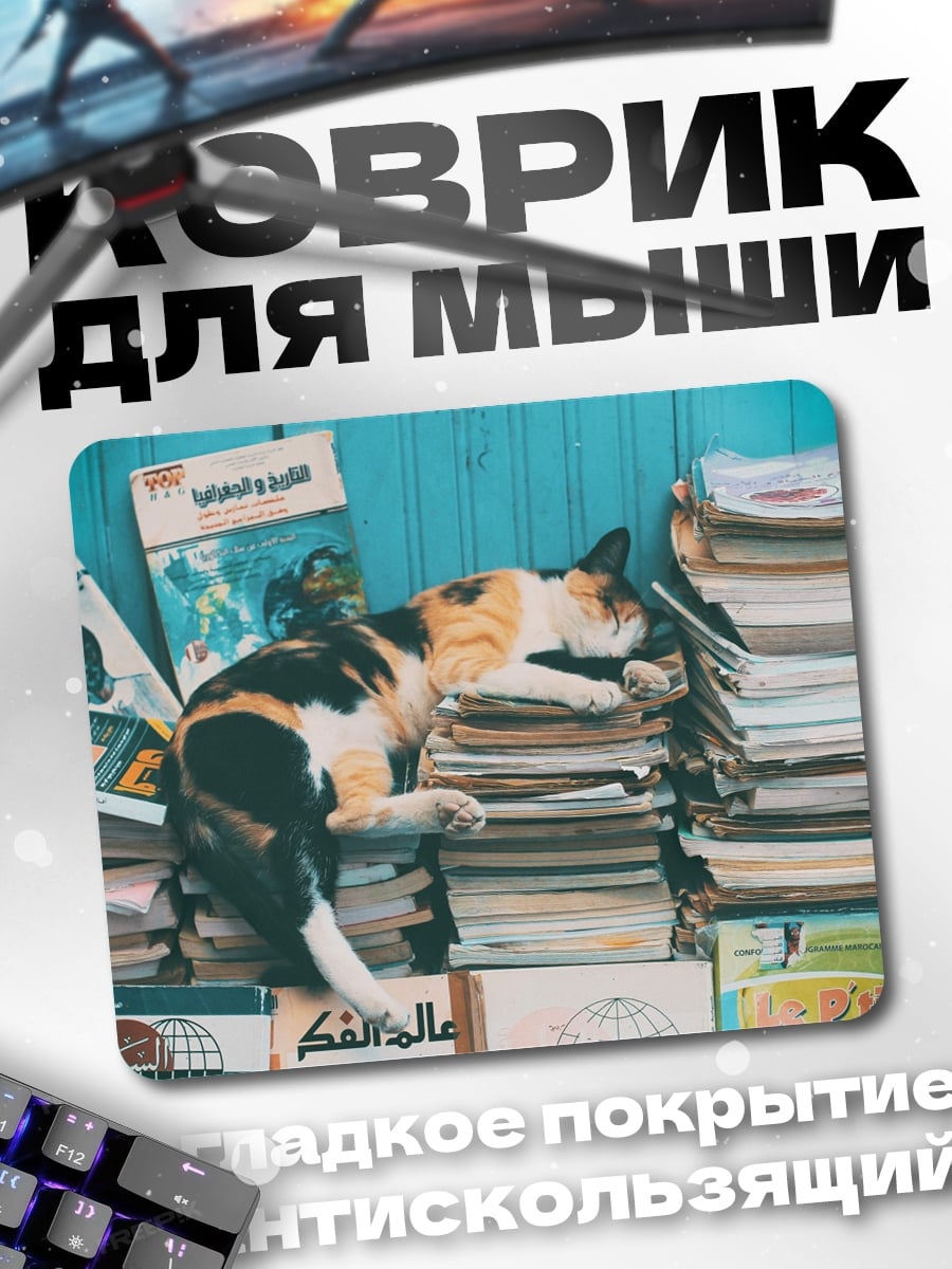 Коврик Кот на книгах