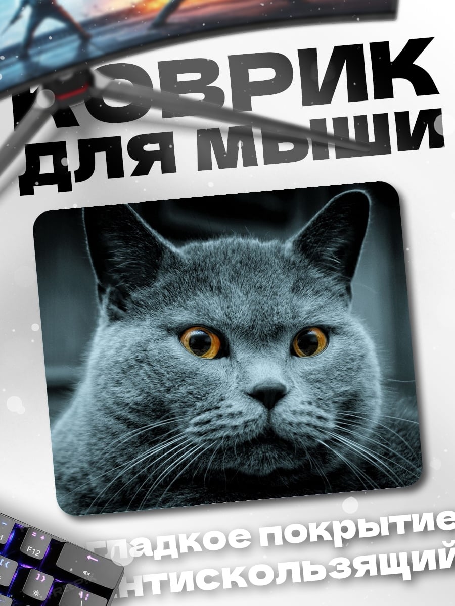 Коврик Британский кот
