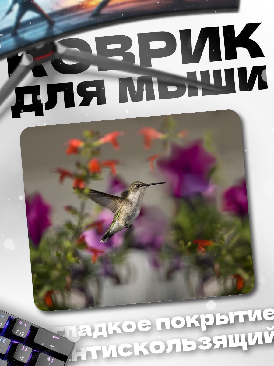 Коврик Колибри и цветы