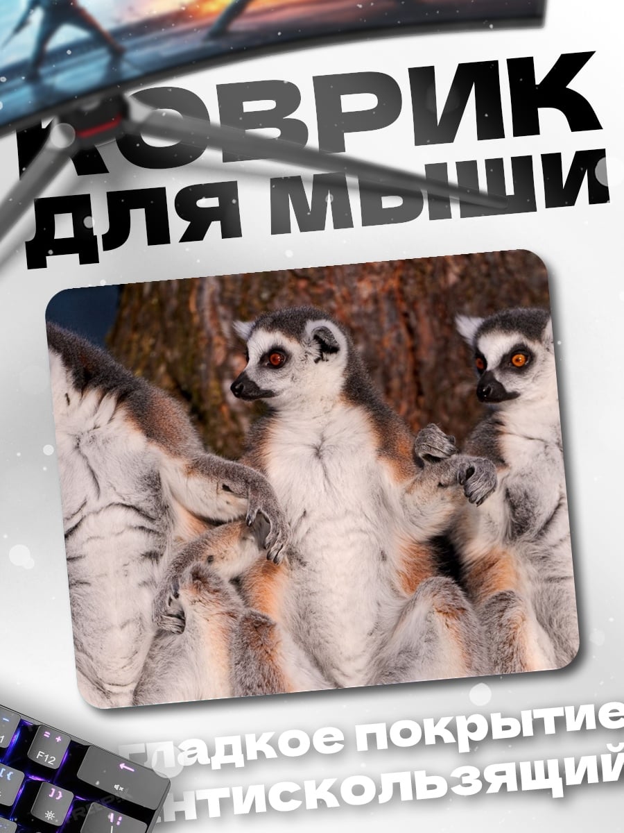 Коврик семья лемуров