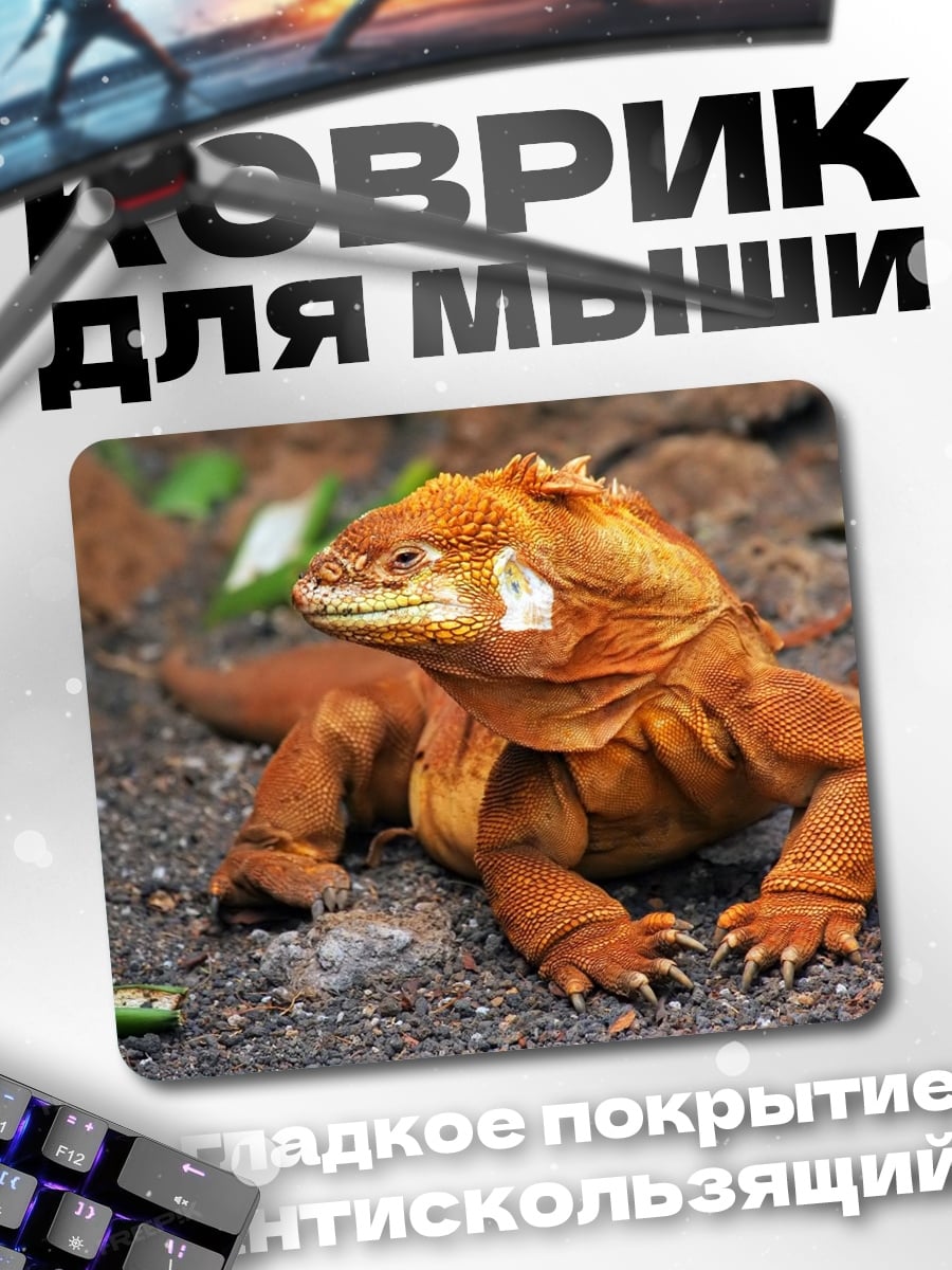 Коврик Оранжевая игуана на земле