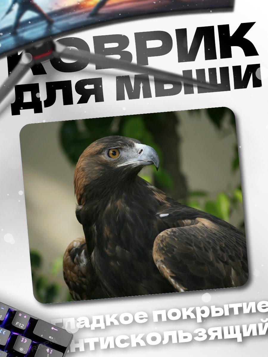Коврик Орёл