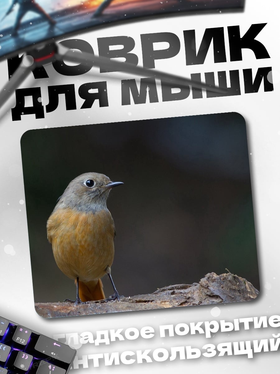 Коврик Птица на ветке