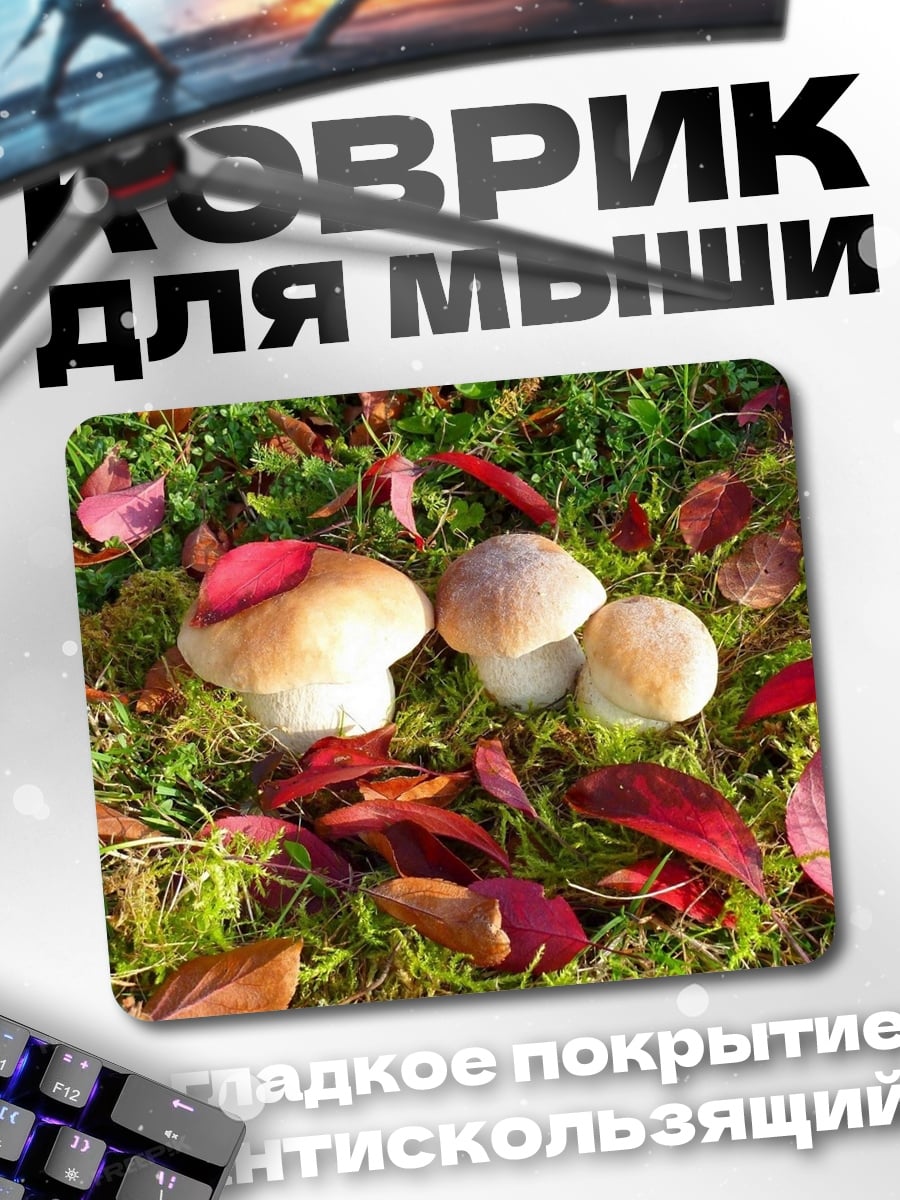 Коврик Лесные грибы