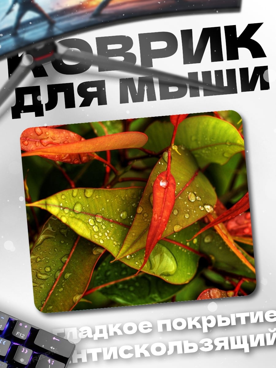 Коврик Капли на листьях