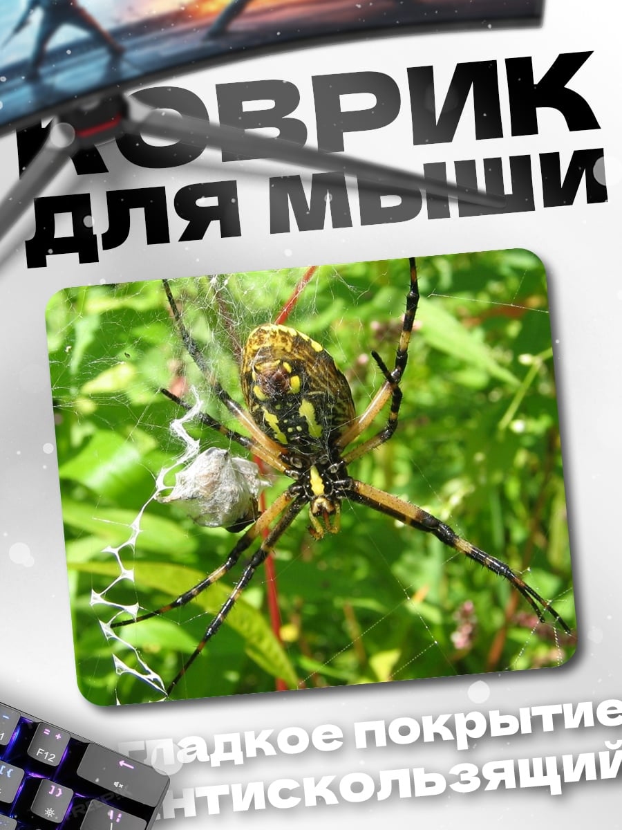 Коврик Паук на паутине