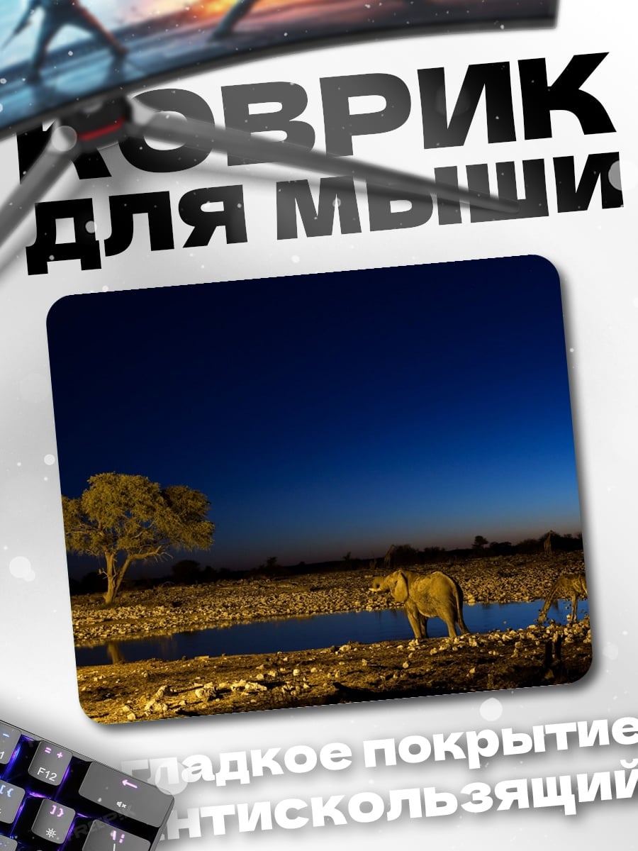 Коврик Лев у водопоя