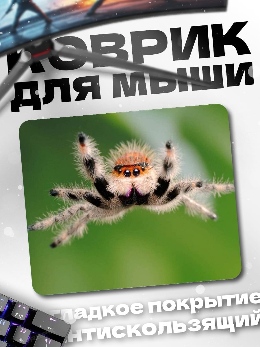 Коврик Паук прыгает