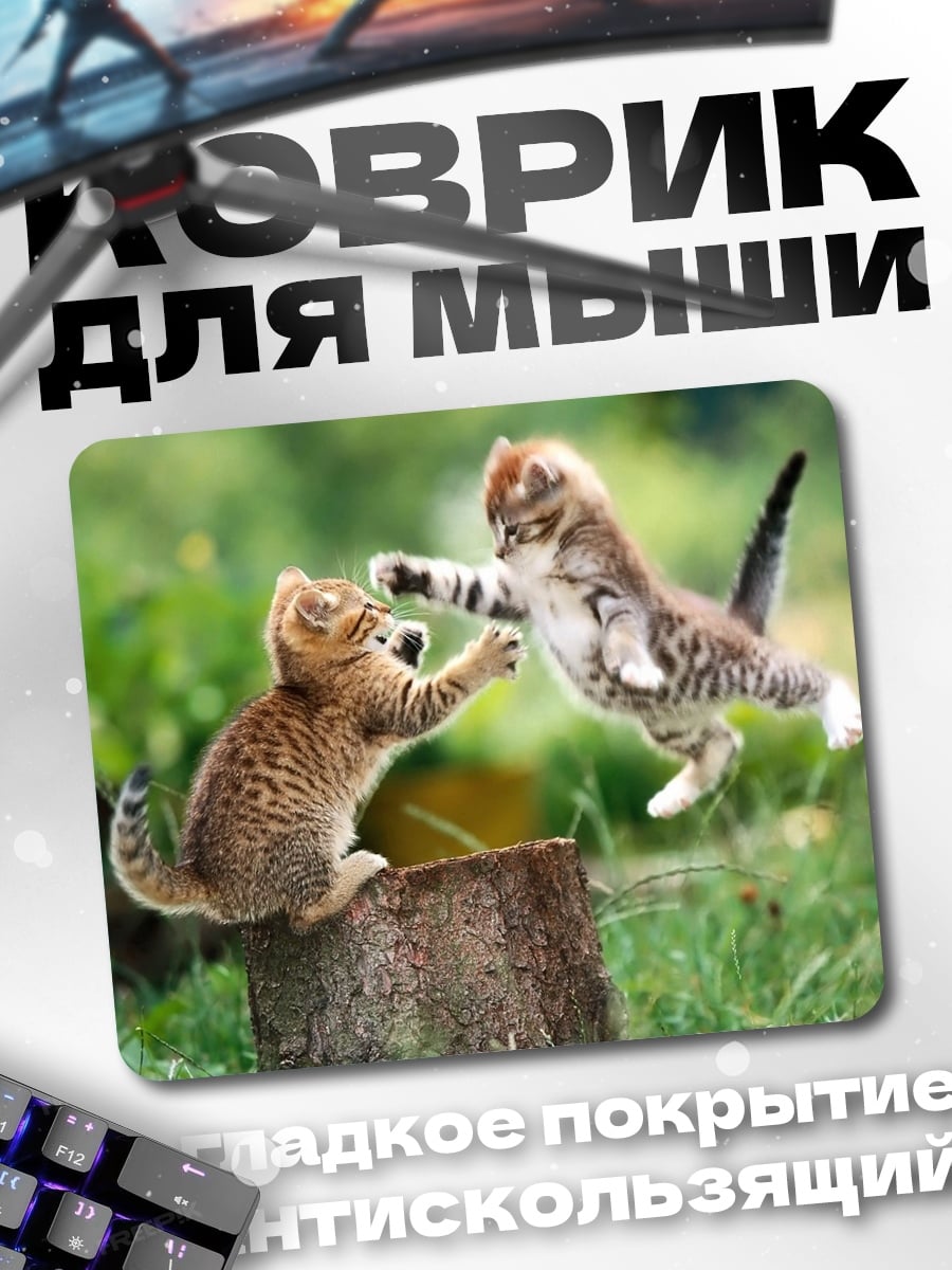 Коврик два играющих котенка