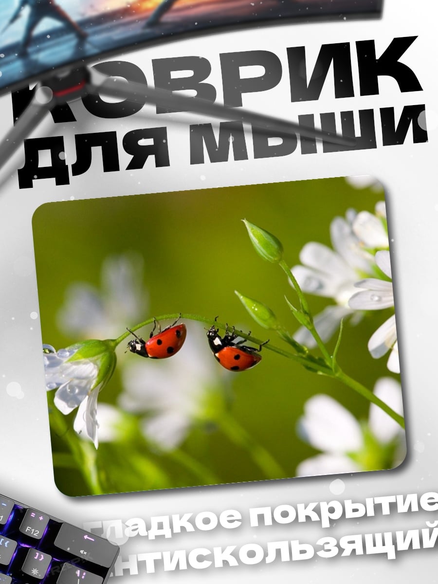 Коврик Две божьи коровки на цветке