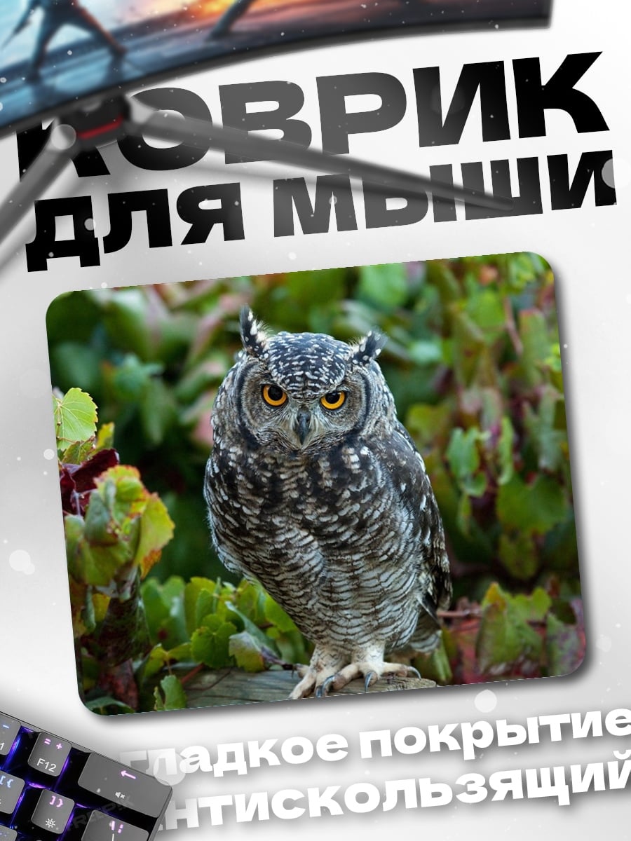 Коврик Сова на ветке