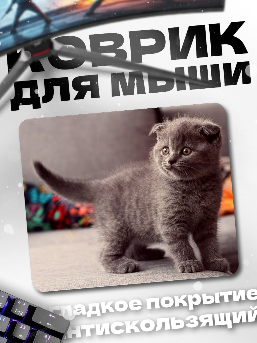 Коврик Милый серый котенок