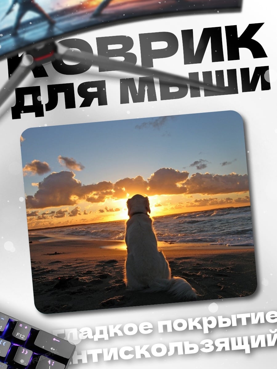 Коврик Собака на закате