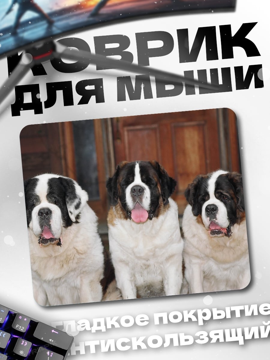 Коврик Три сенбернара