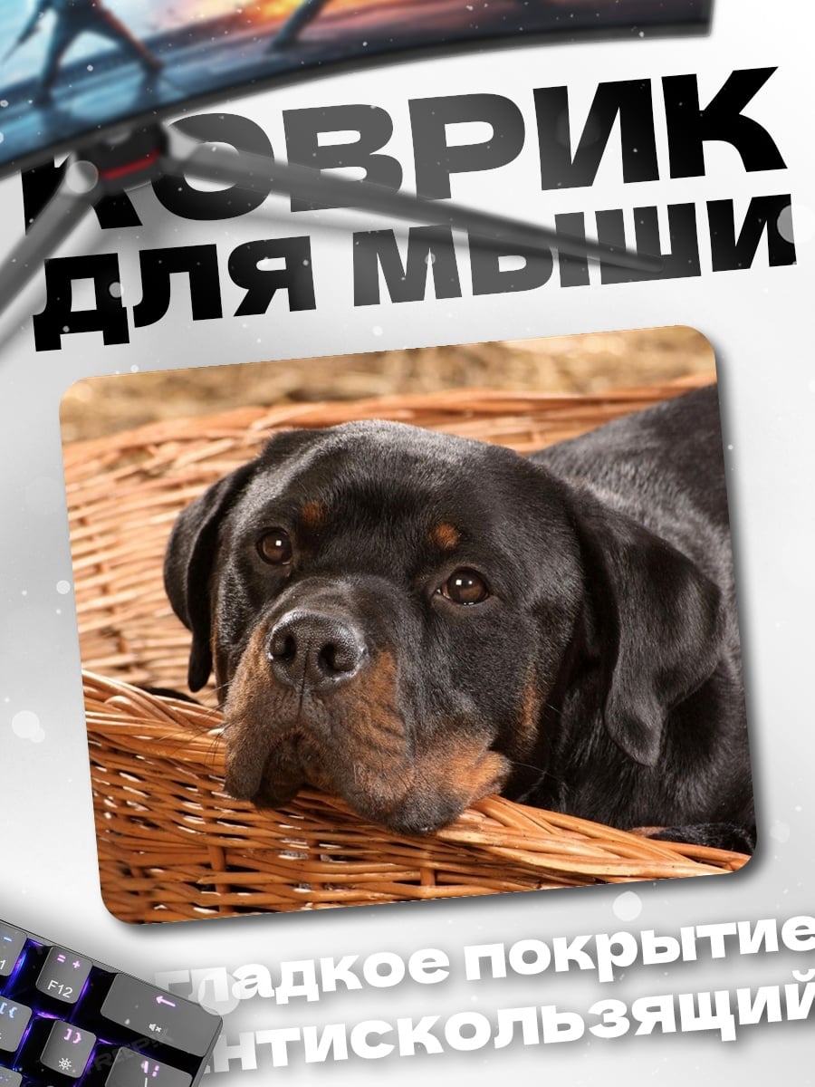 Коврик Ротвейлер в корзине