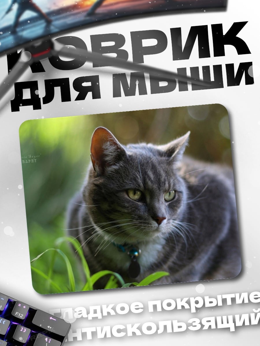 Коврик серый кот