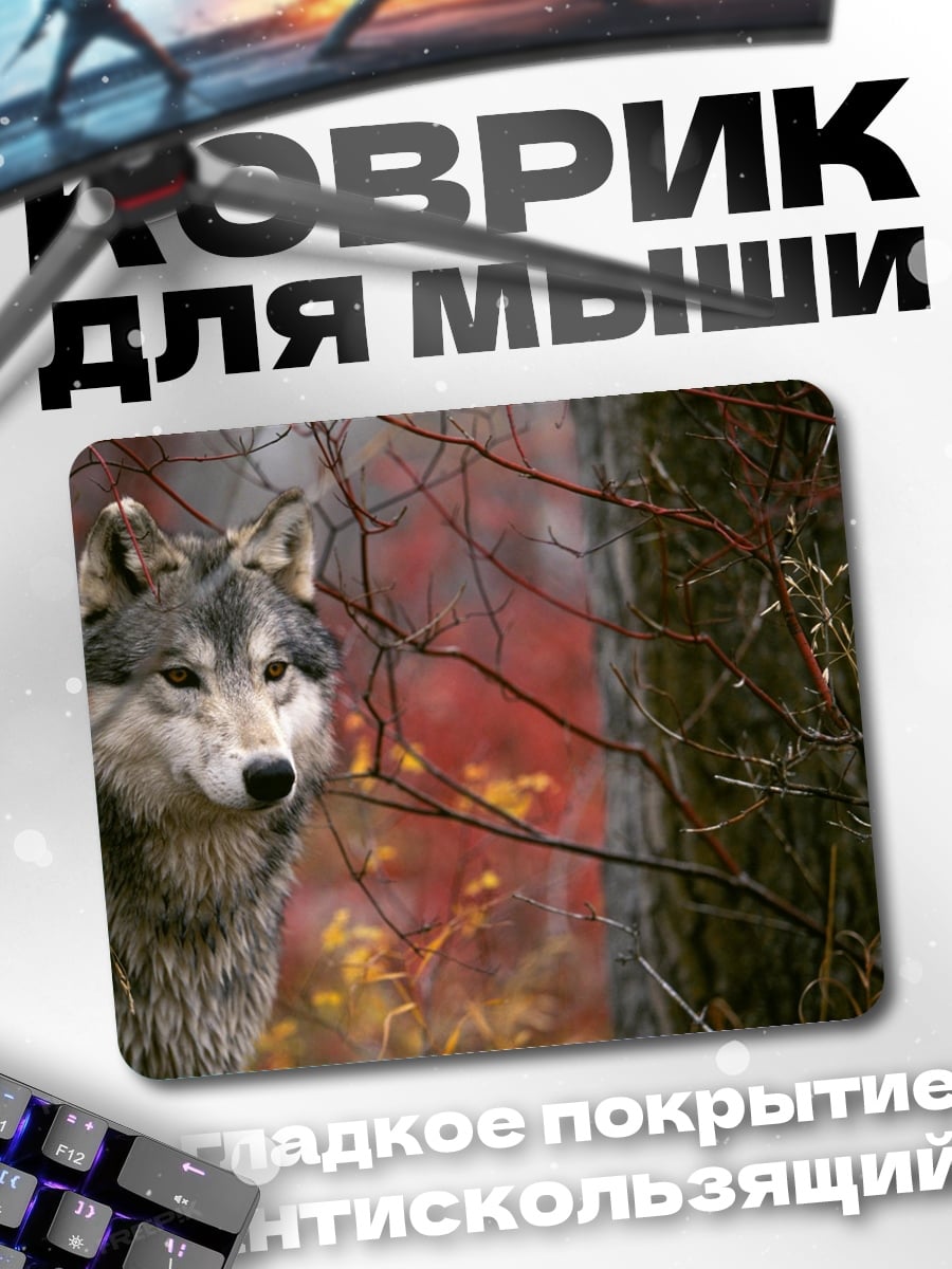 Коврик волк в осеннем лесу
