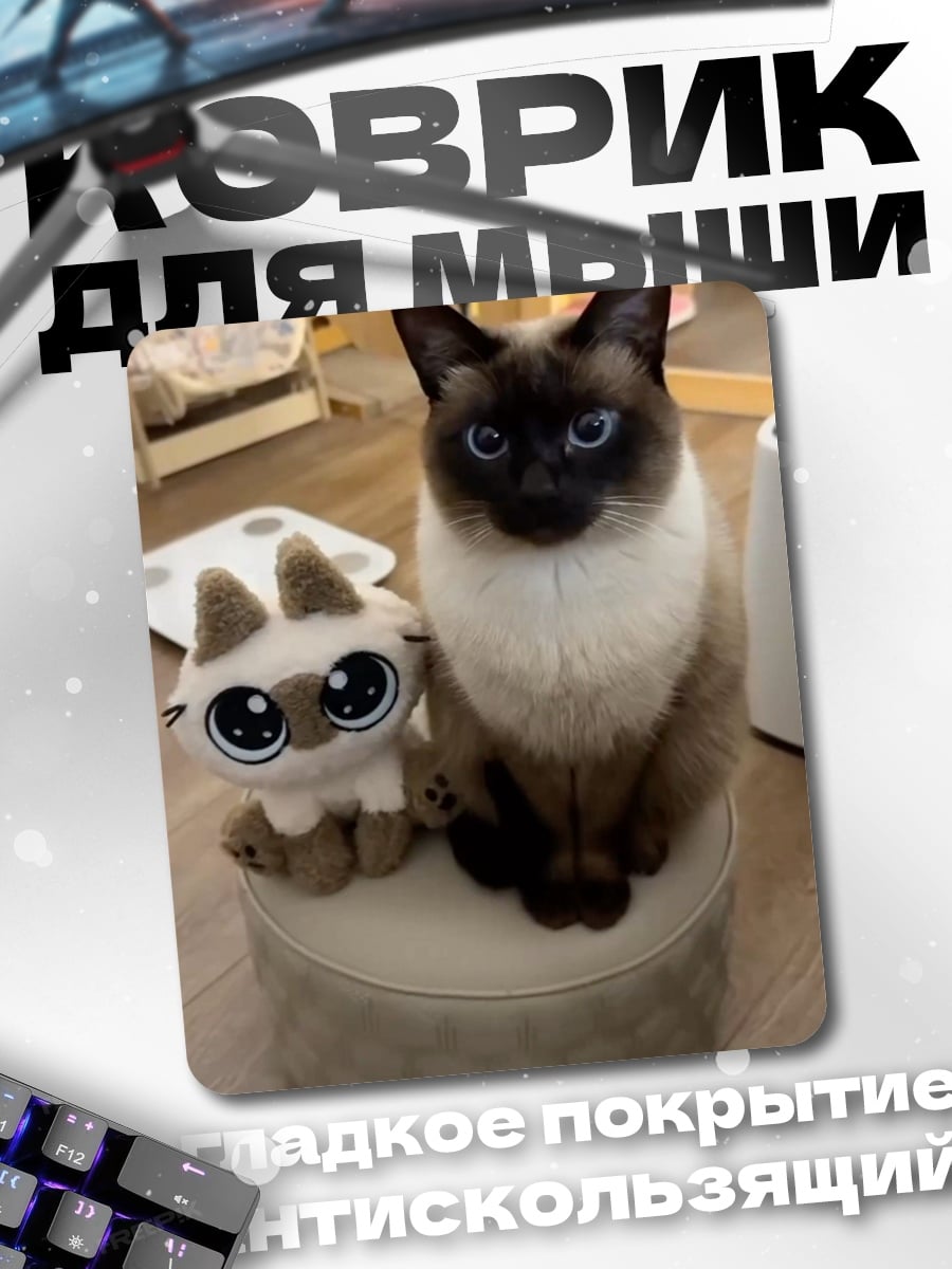 Коврик Сиамский кот и игрушка