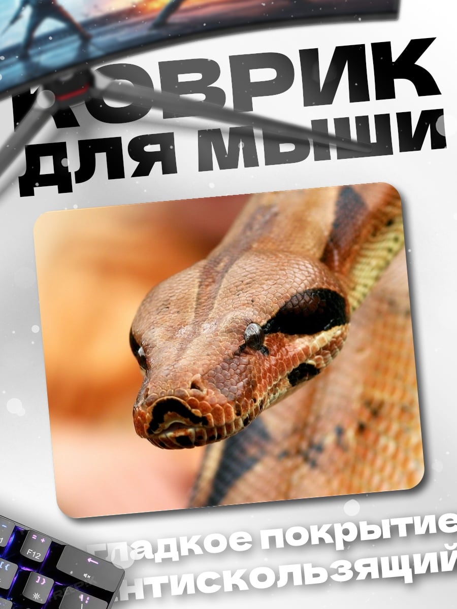 Коврик Крупный план змеи