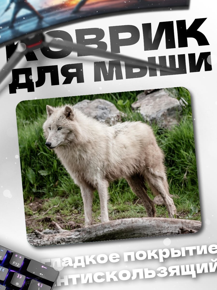 Коврик Белый волк в лесу