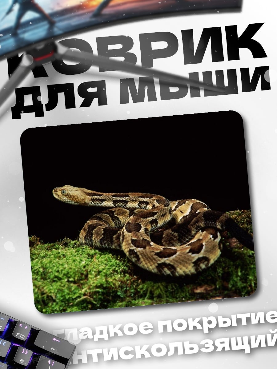 Коврик змея на мху