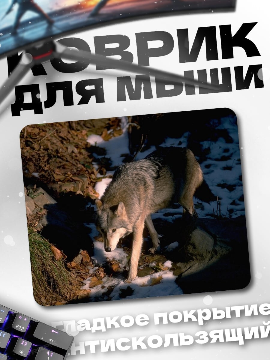 Коврик Волк в лесу