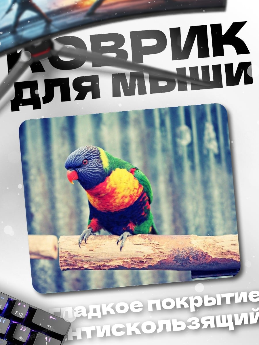 Коврик Радужный попугай сидит