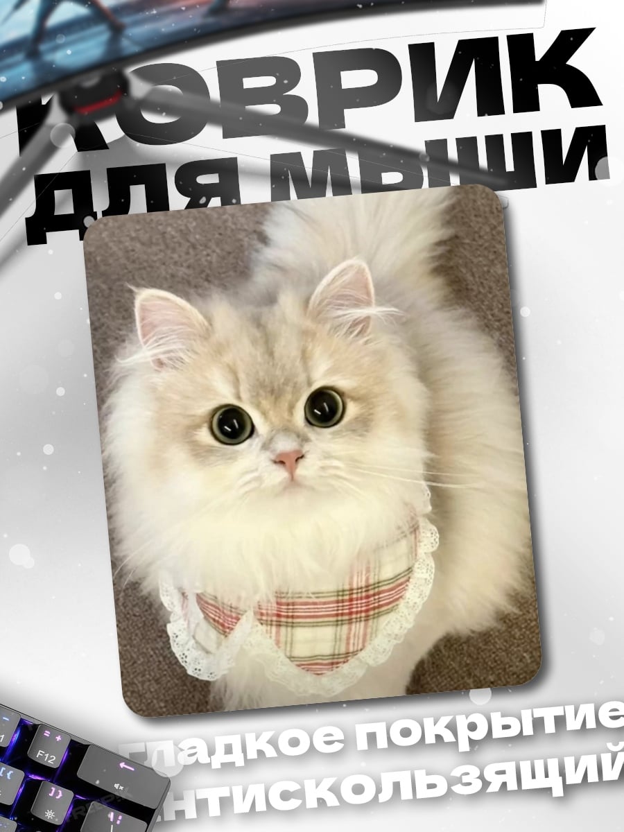 Коврик Пушистый кот