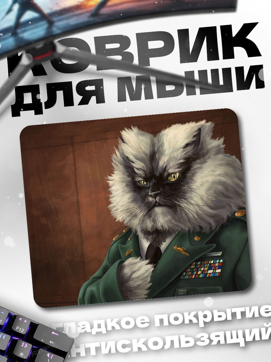 Коврик Генерал кот
