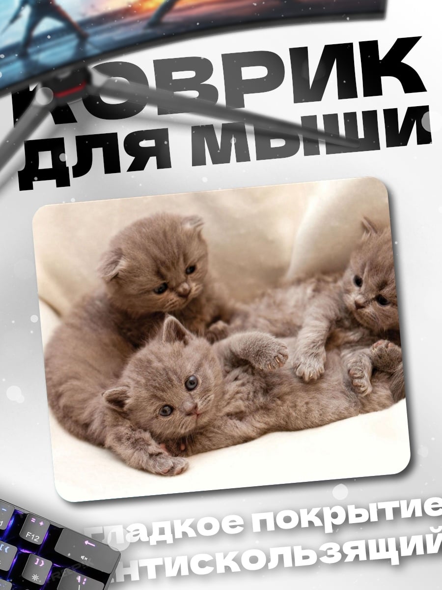 Коврик Котята пушистые лежащие