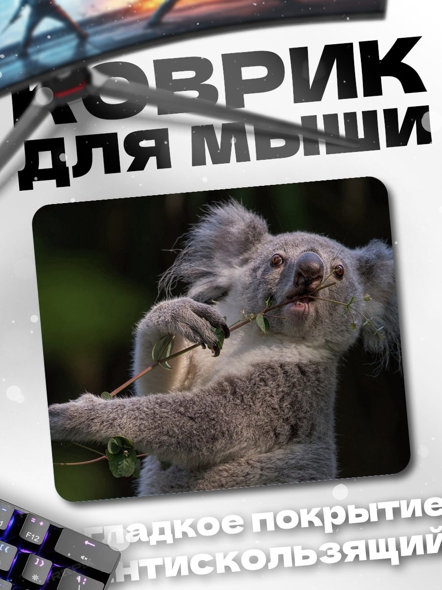 Коврик Коала
