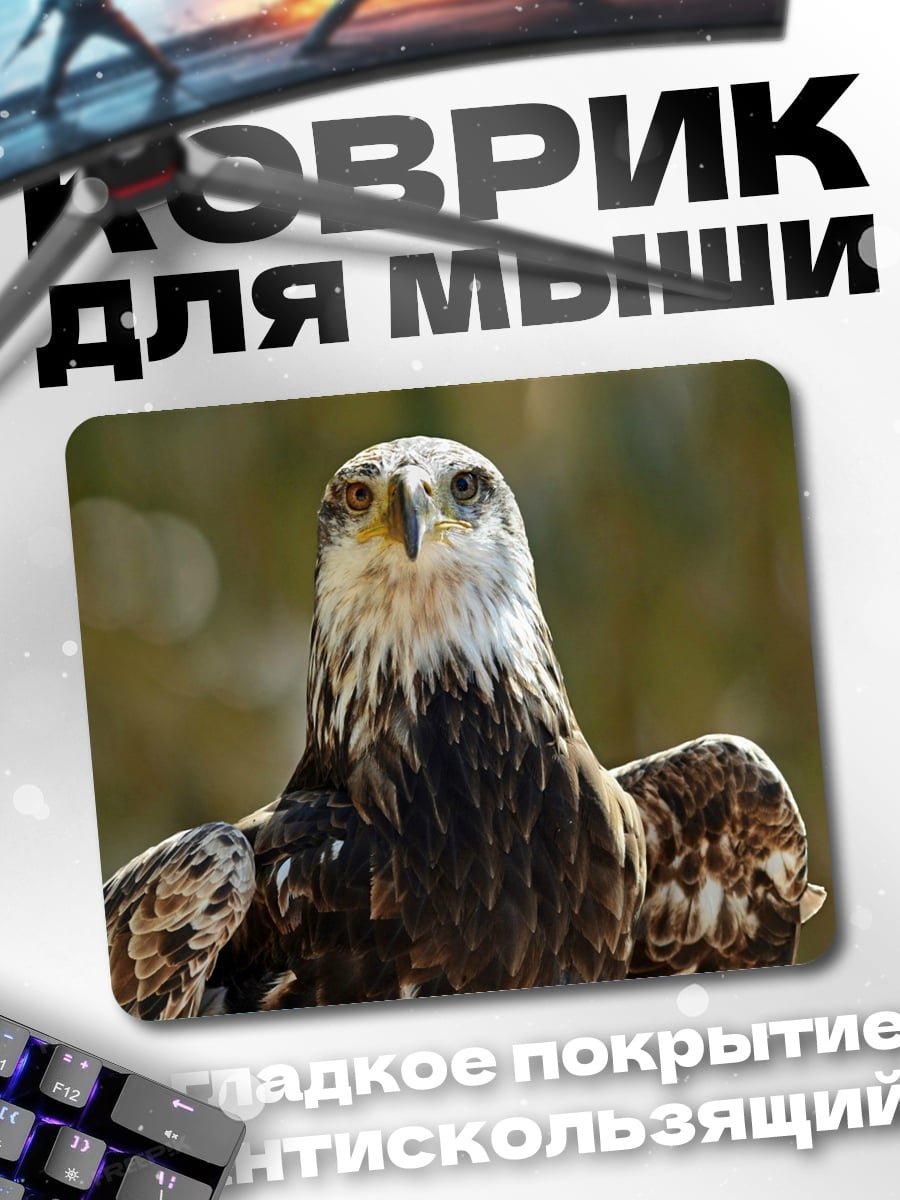 Коврик Орел смотрит