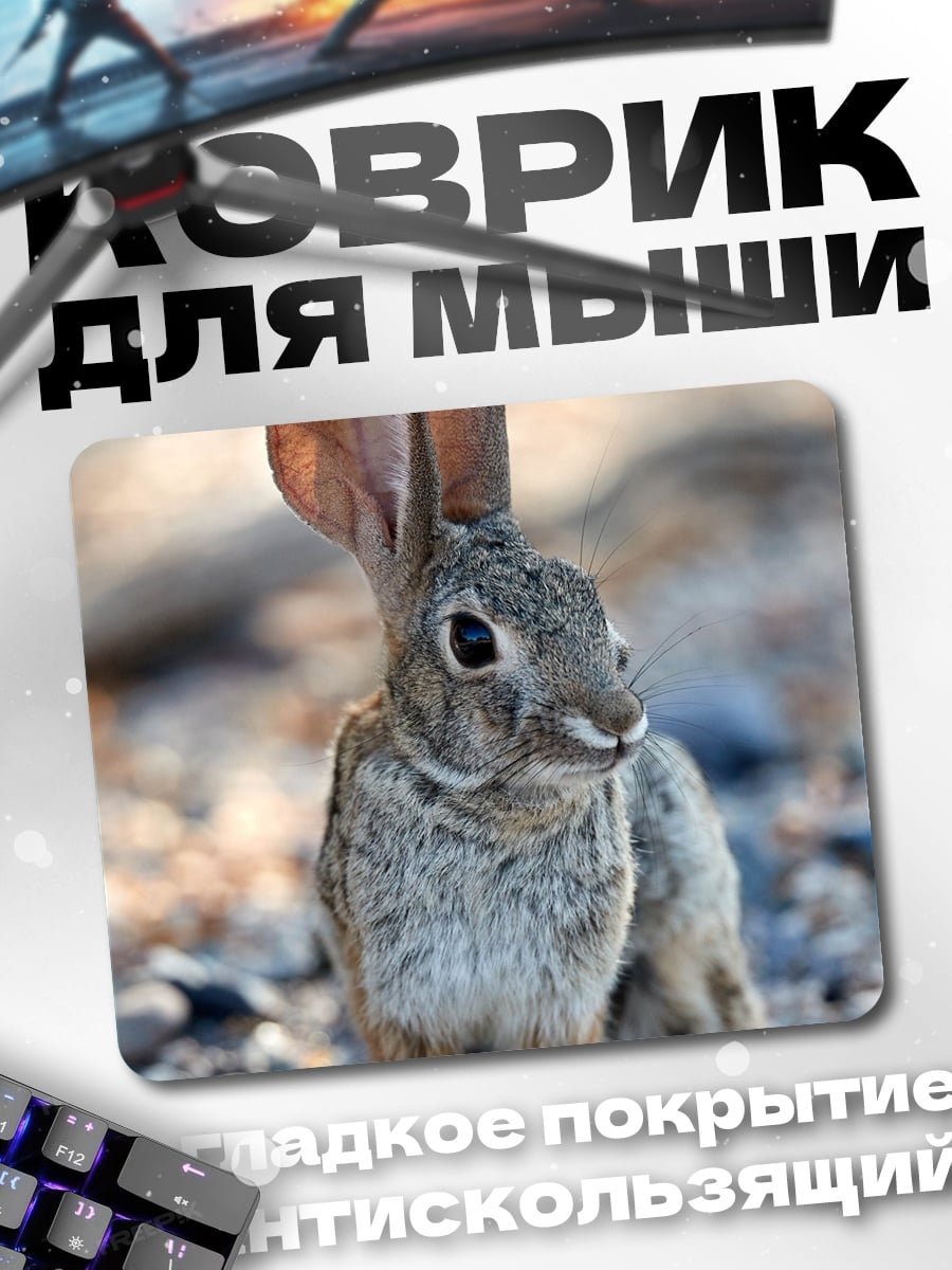 Коврик Пустынный кролик