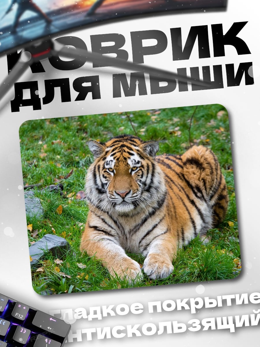 Коврик Лежащий тигр