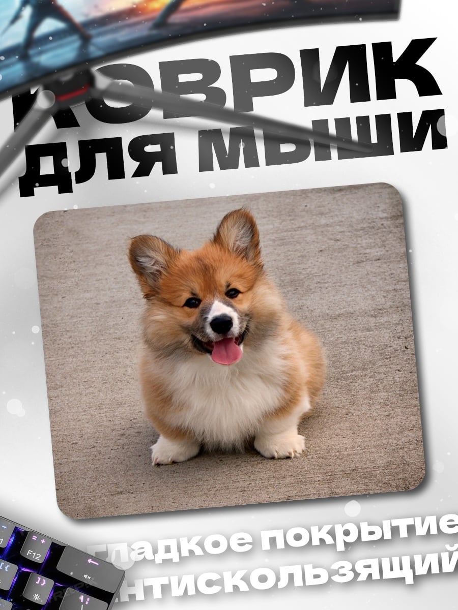 Коврик Милый корги щенок