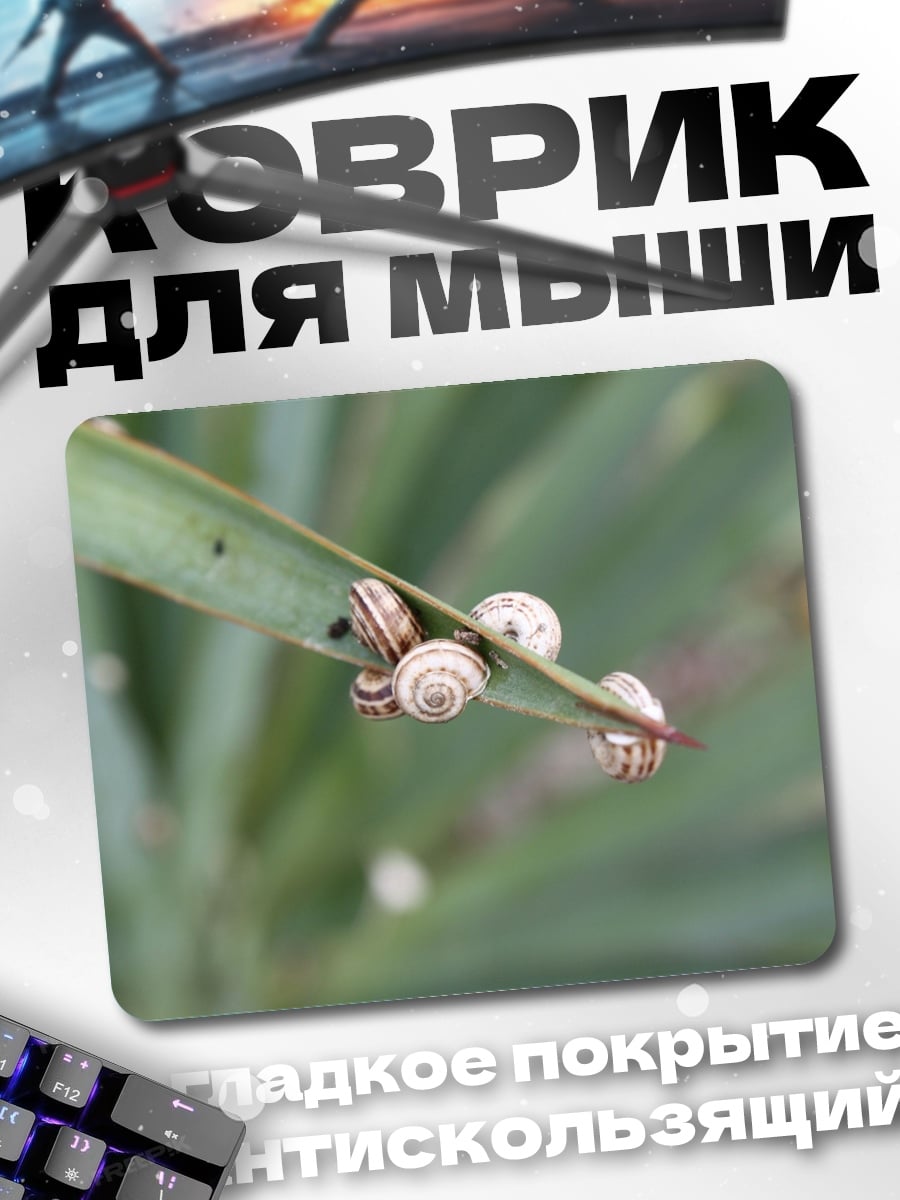 Коврик улитки на листе