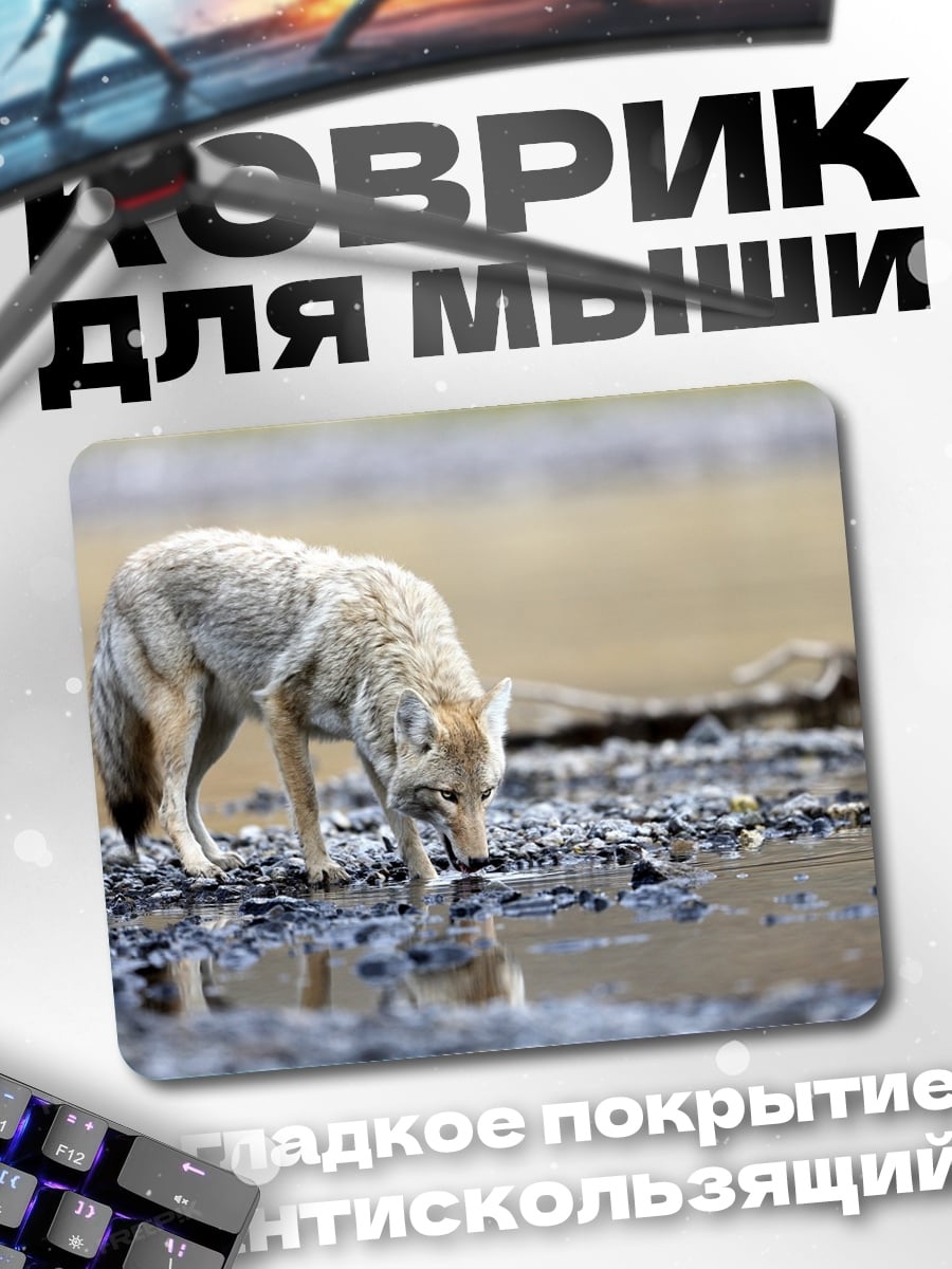 Коврик Пьющий койот