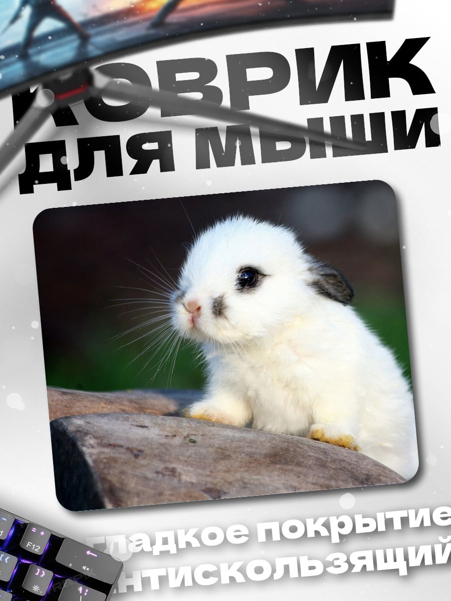 Коврик Белый кролик на камне