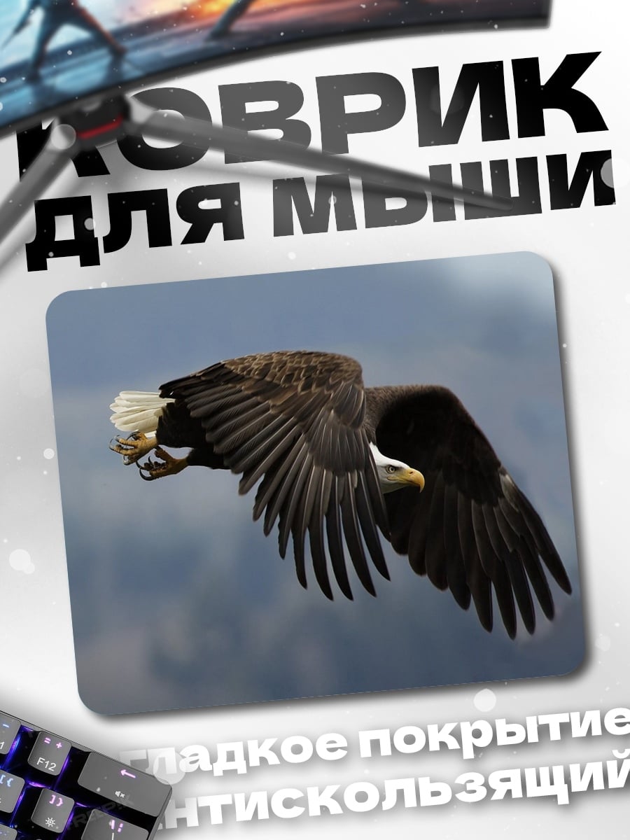 Коврик Орел в полете
