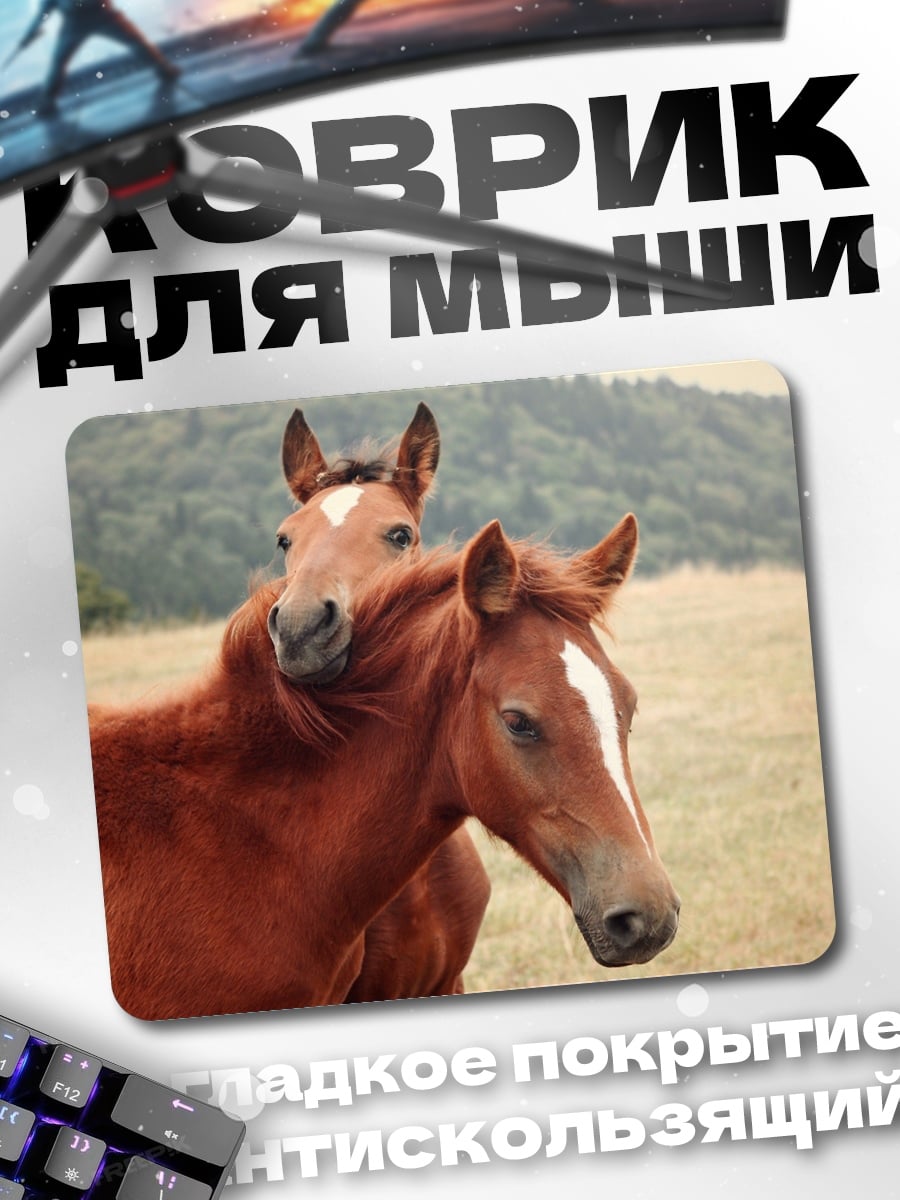 Коврик Два коня на поле