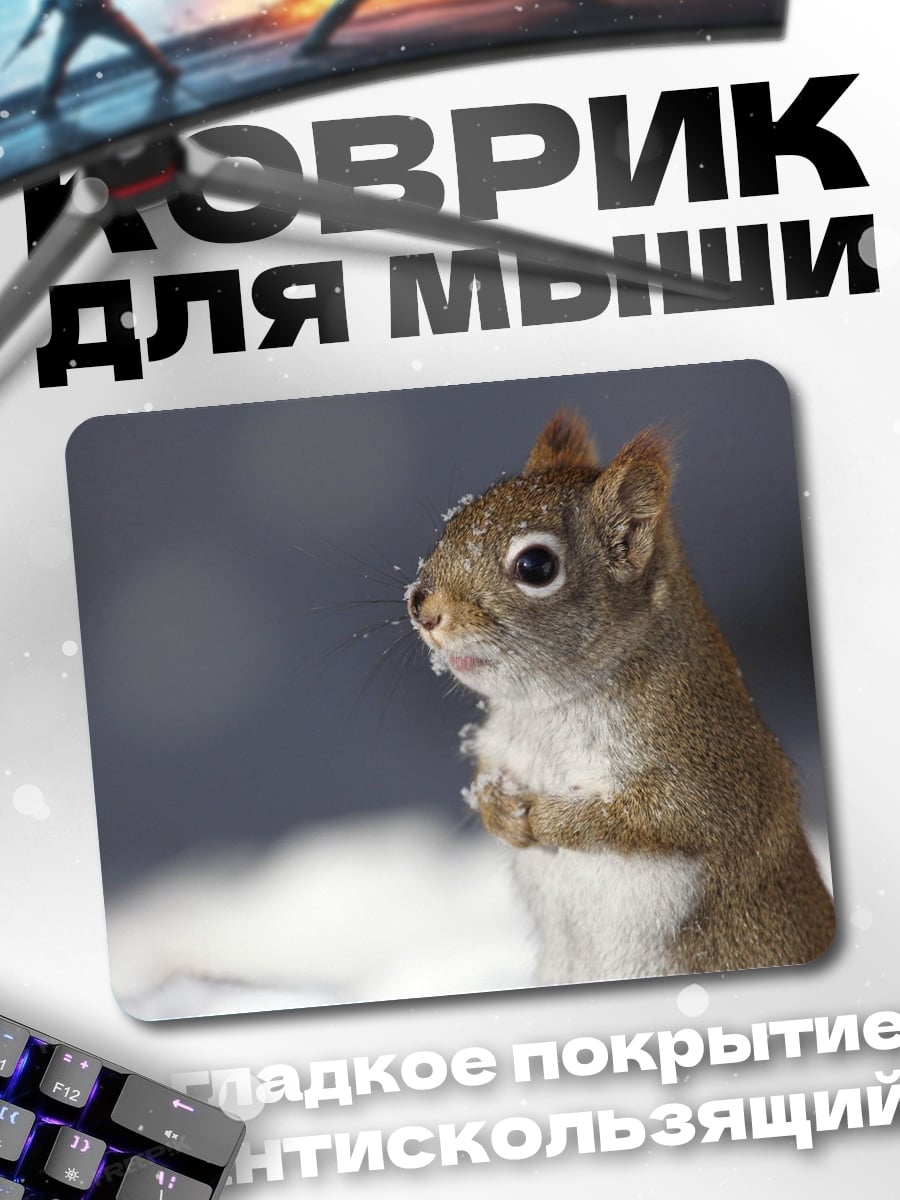 Коврик Рыжая белка зимой