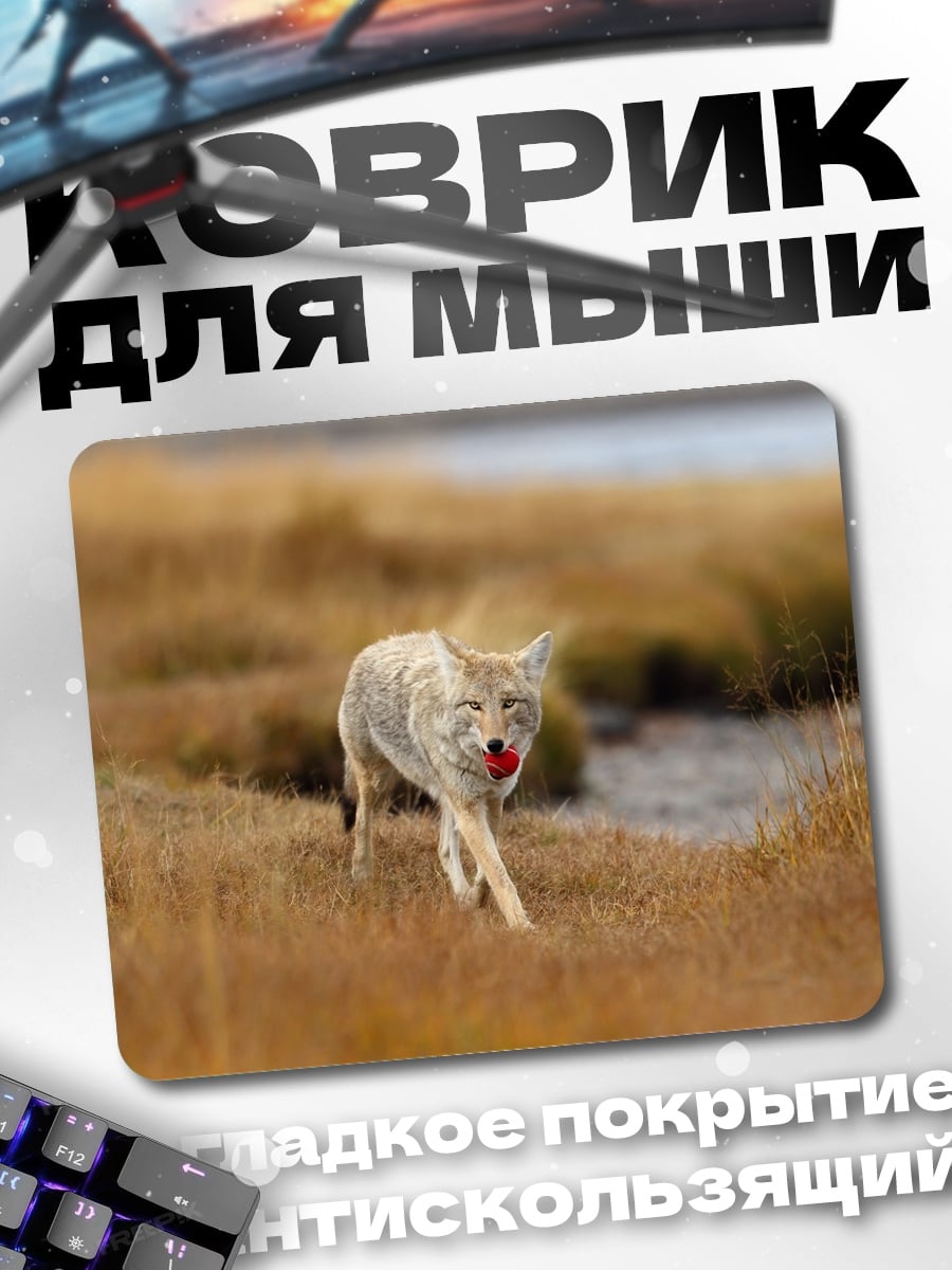 Коврик Койот в поле