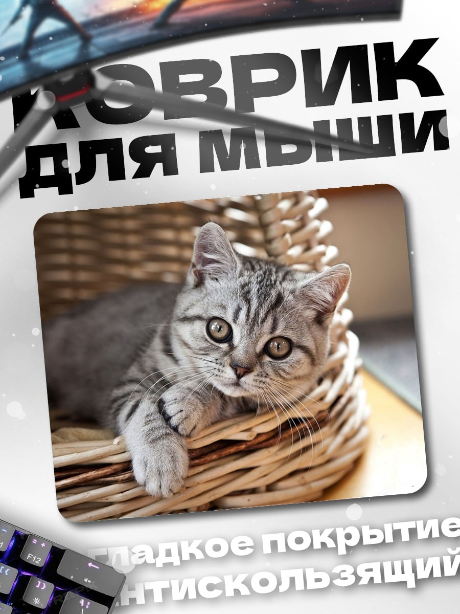 Коврик Кот в корзине