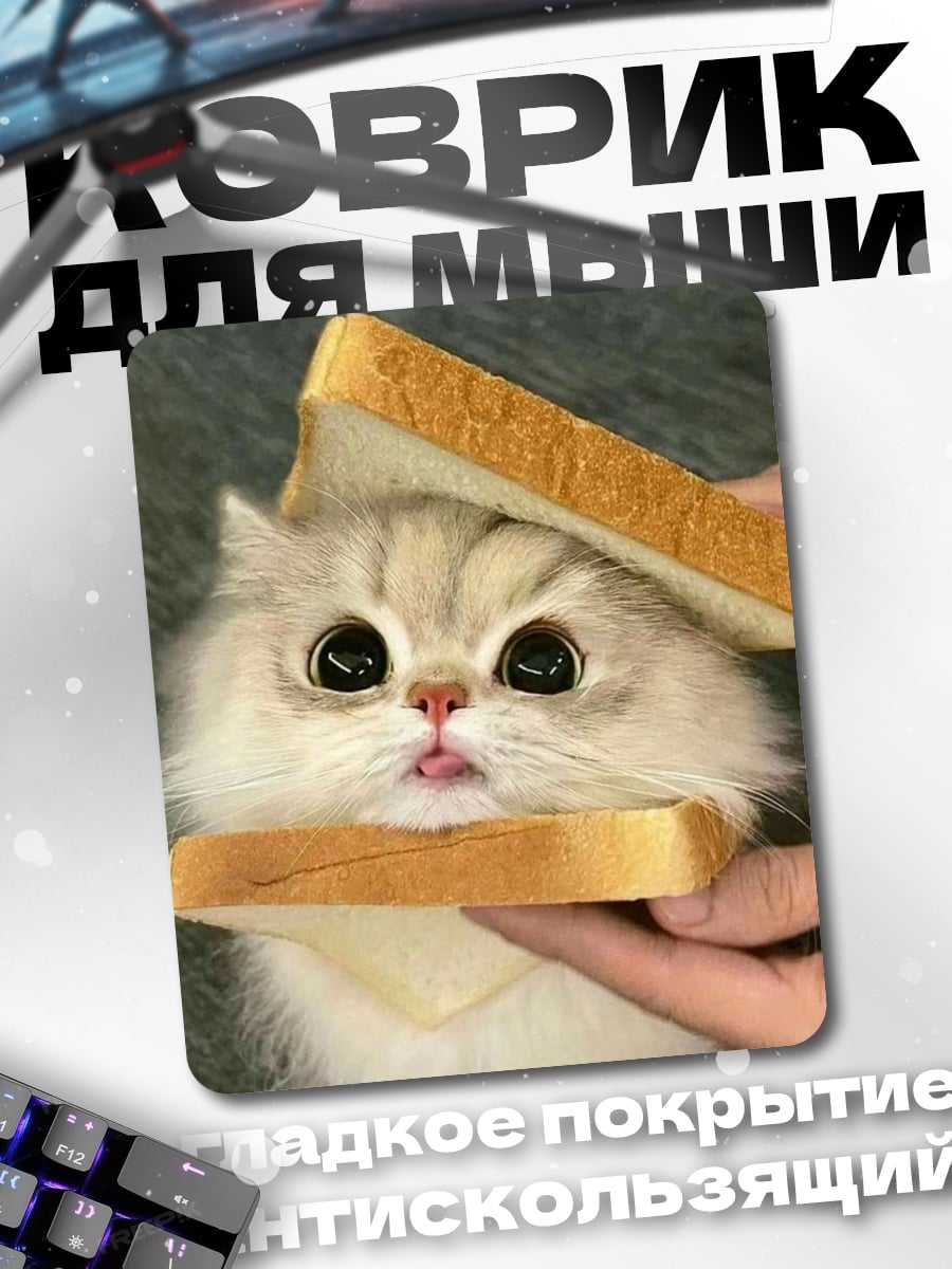 Коврик Кот в сэндвиче