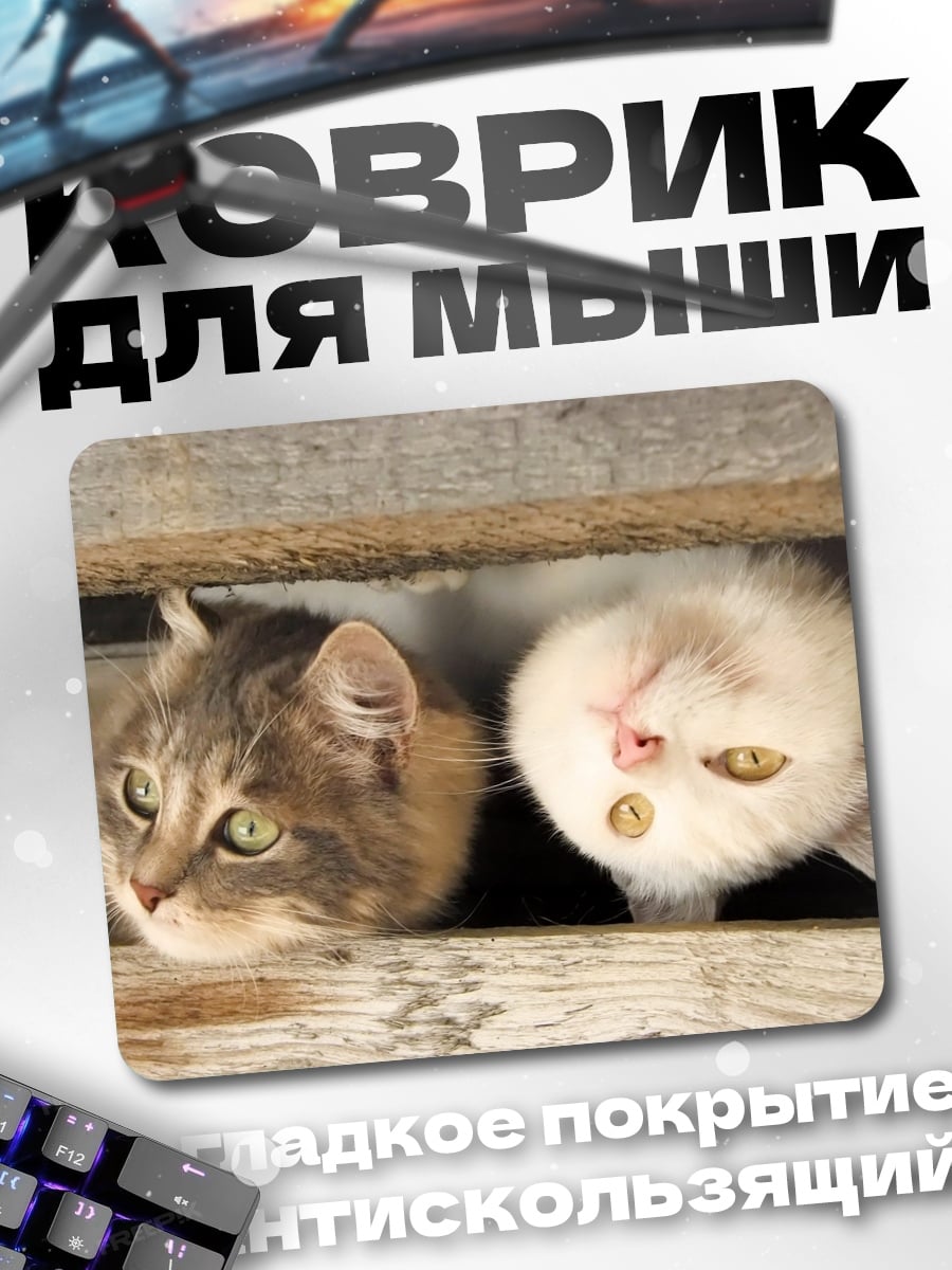 Коврик Два любопытных кота