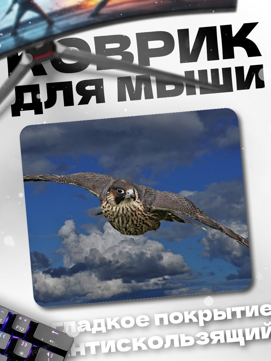 Коврик сокол в полете