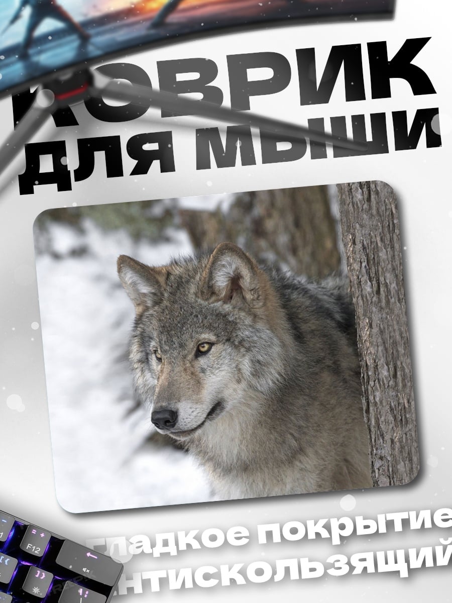 Коврик Волк в зимнем лесу